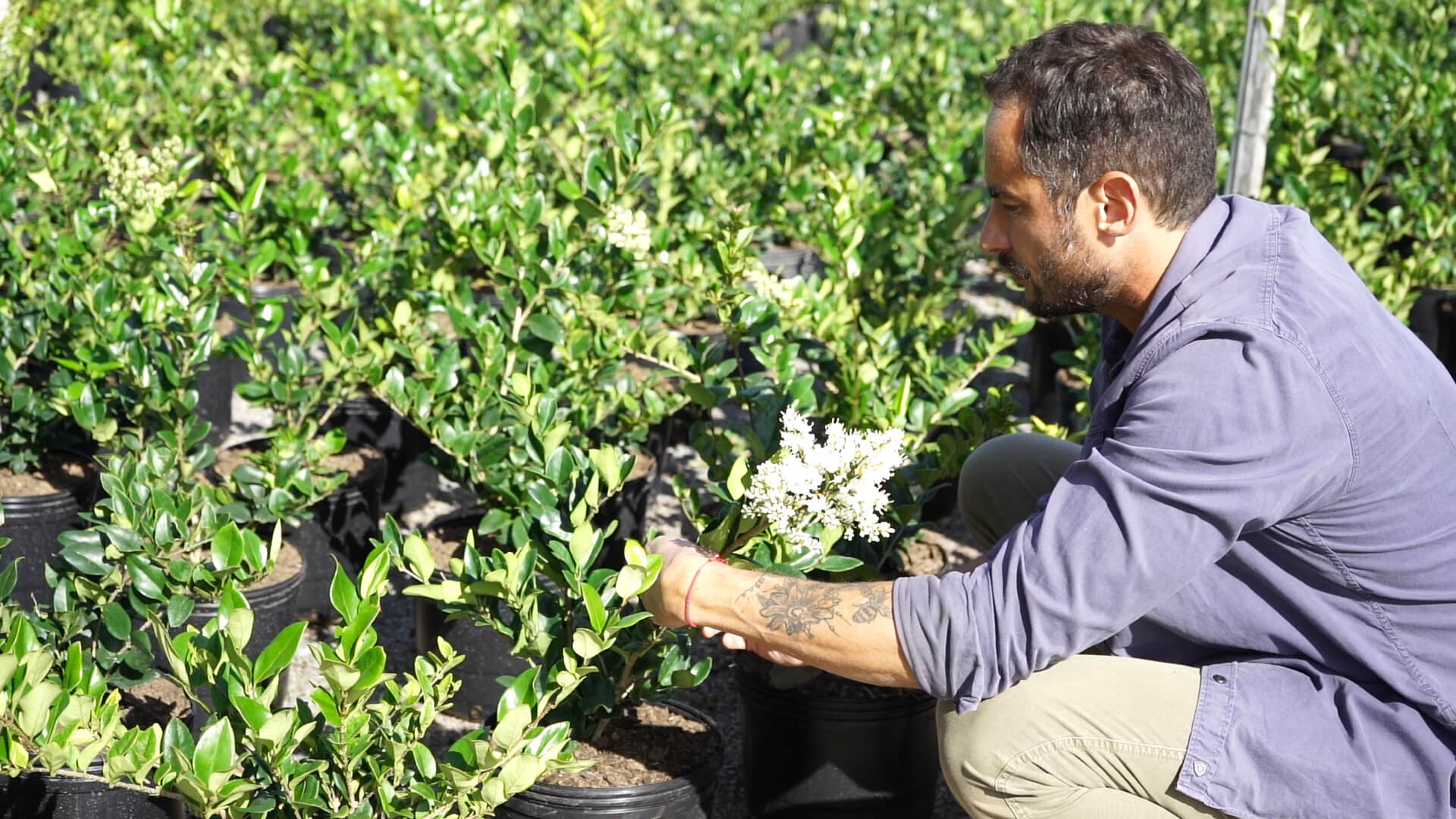 Curso de Jardineria Basica