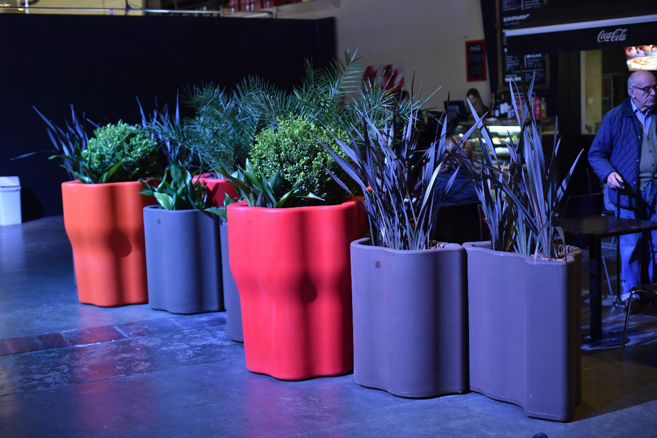 PLANTAS EXPOSICION BA