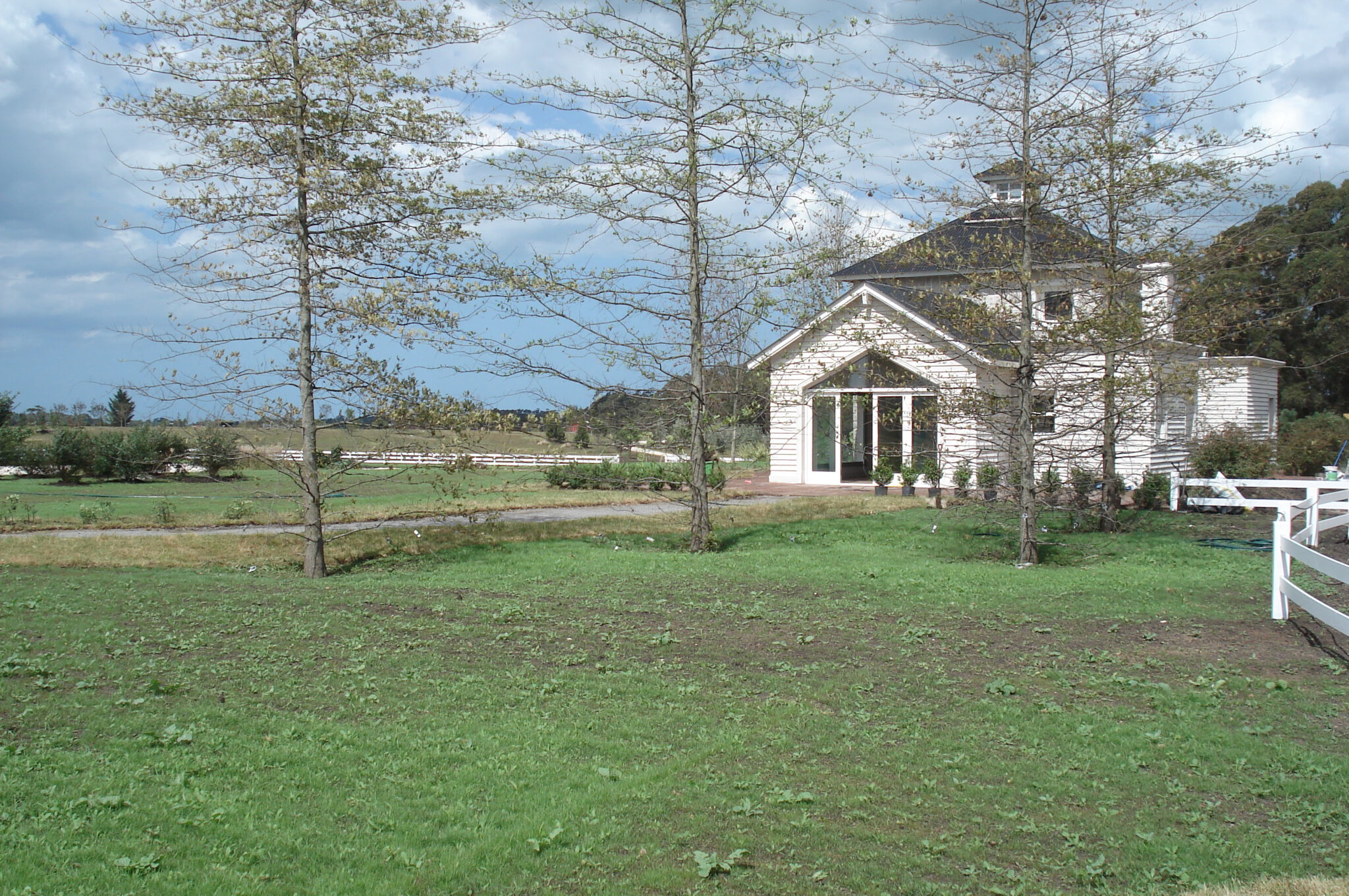 DSC05505