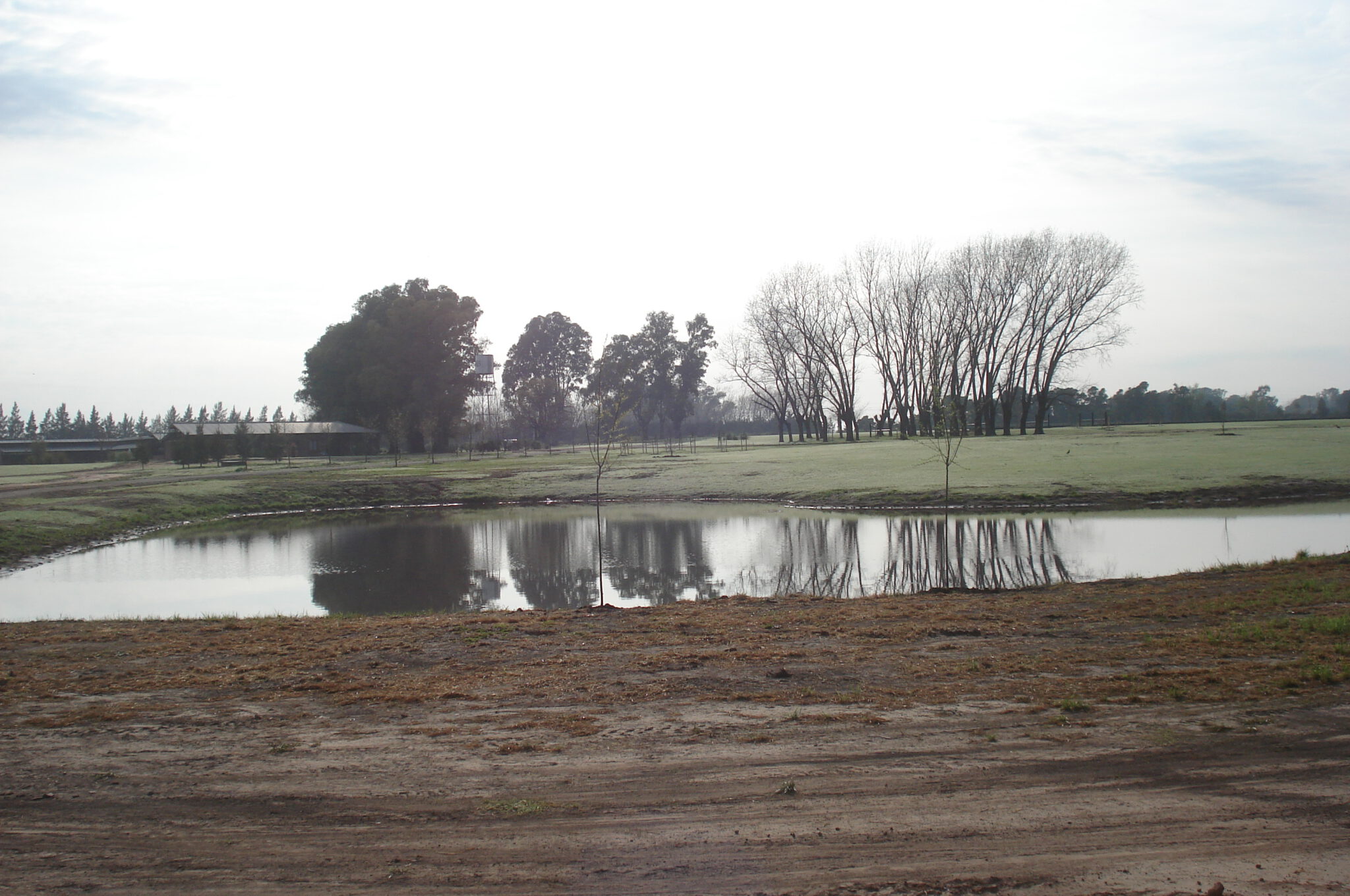 DSC06618