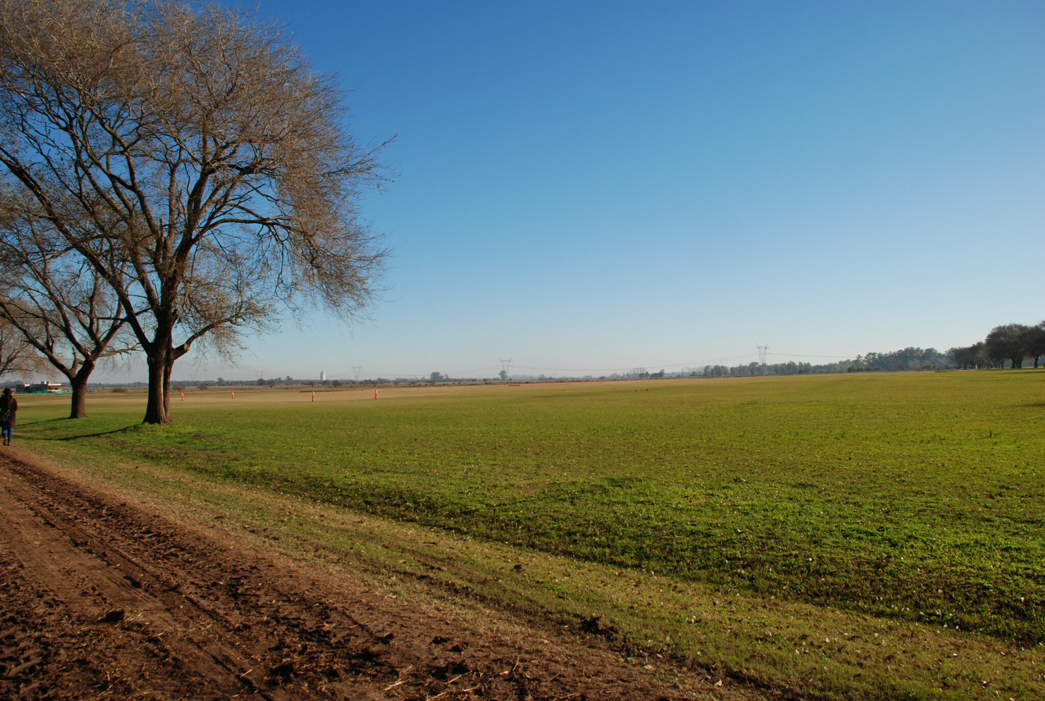 DSC_0052